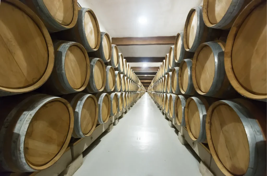 wine factory cellar huge barrels